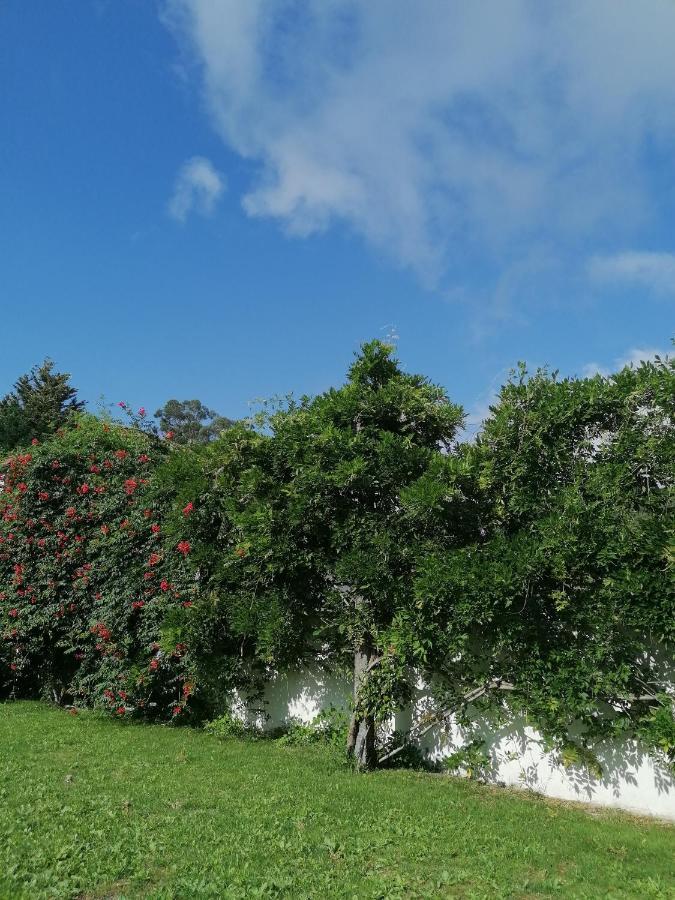 Casa Das Castanheiras Vieira do Minho Zewnętrze zdjęcie